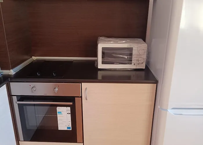 One-bedroom A 304 Nestinarka-tsarevo *